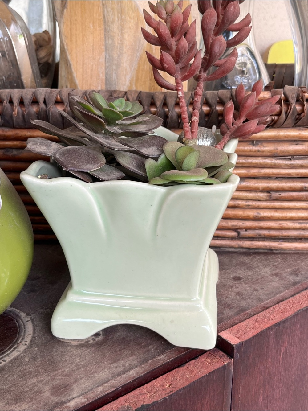 Mint Green Ceramic Succulent Planter by